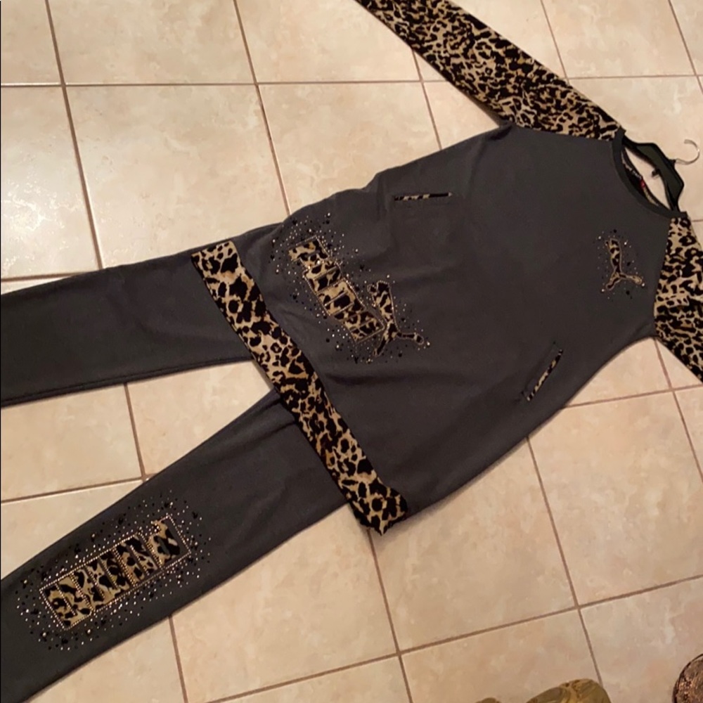 European puma set
